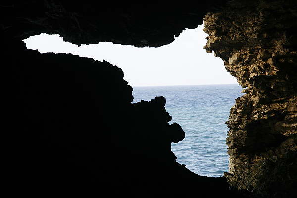 Animal Flower Cave