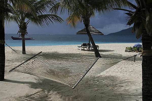 Palm Island