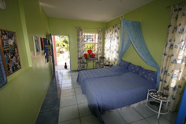 flamingo house 08 flamingo house 08