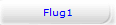 Flug1