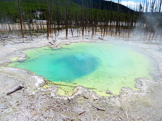 Noch ein fröhlich blubbernder Pool Noch ein fröhlich blubbernder Pool