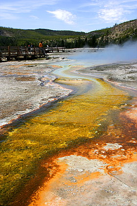 Sapphire Pool