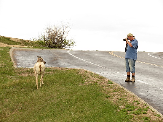 Tierfotografin Uli in den Badlands Tierfotografin Uli in den Badlands