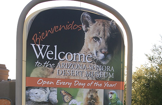 Arizona-Sonora Desert Museum Arizona-Sonora Desert Museum