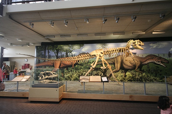 Dinosaur National Monument - Fossil Bone Quarry Dinosaur National Monument - Fossil Bone Quarry