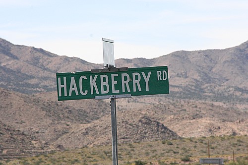Hackberry Rd
