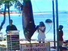 Marlin
