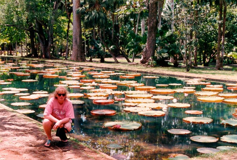 Jardin de Pamplemousse