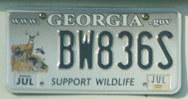 Licence Plate Georgia