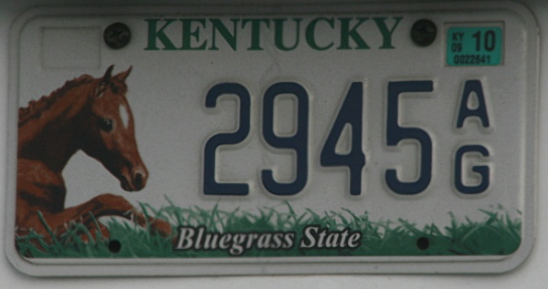 Licence Plate Kentucky