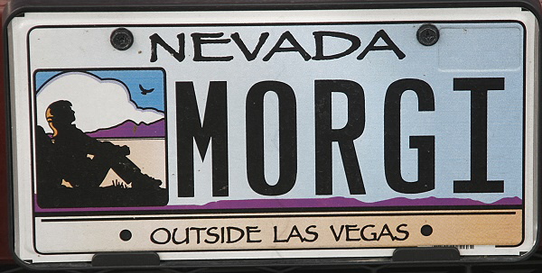 Licence Plate Nevada