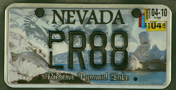 Licence Plate Nevada