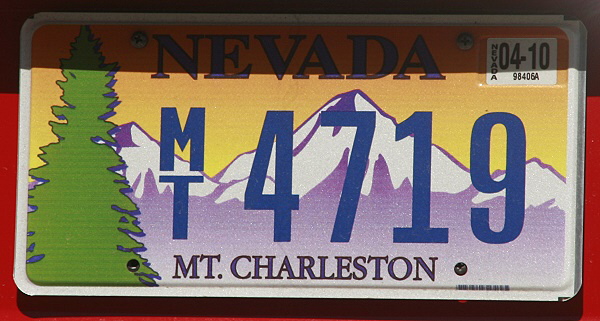 Licence Plate Nevada