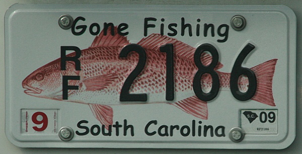 Licence Plate South Carolina