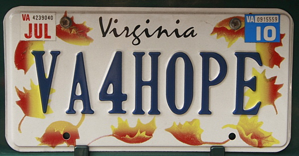 Licence Plate Virginia