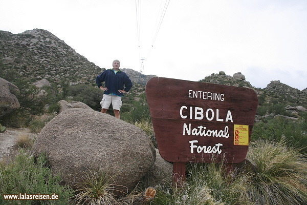 Cibolla National Forest