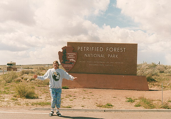 Petrified Forest National Park