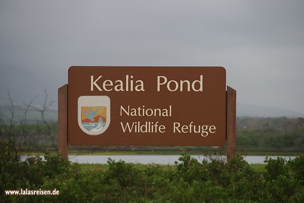 Kealia Pond National Wildlife Refugee
