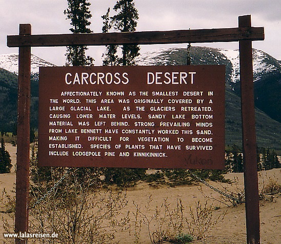 Carcross Desert