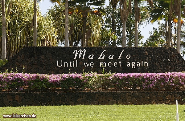 Until we meet again