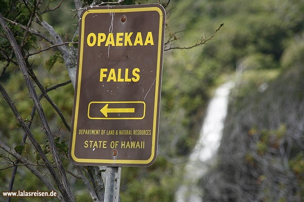 Opaekaa Falls
