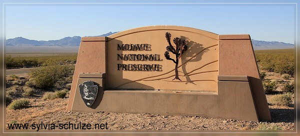 Mojave National Preserve