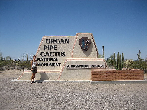 Organ Pipe Cactus National Monument