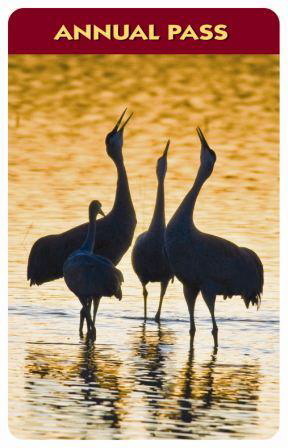 National Park Pass 2010