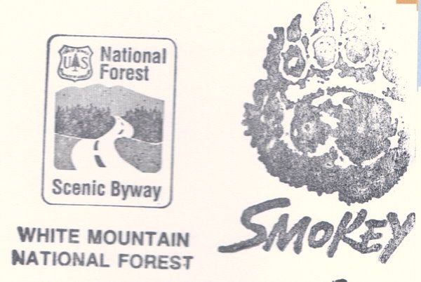 White Mountain National Forest