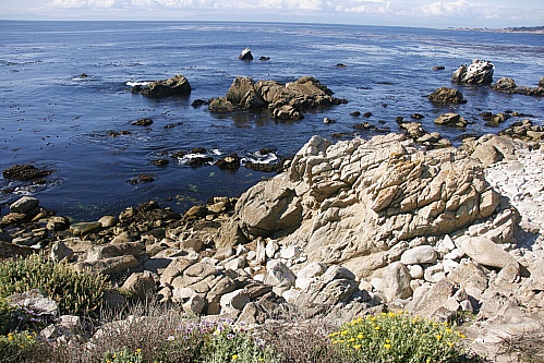 17 Mile Drive - The Restless Sea 17 Mile Drive - The Restless Sea