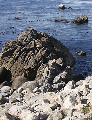 17 Mile Drive - The Restless Sea 17 Mile Drive - The Restless Sea