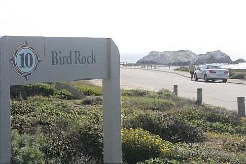17 Mile Drive - Bird Rock