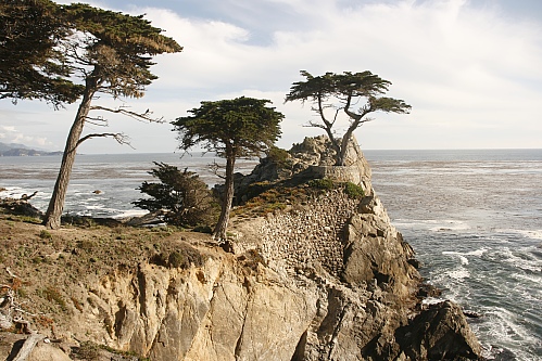 17 Mile Drive - The Lone Cypress 17 Mile Drive - The Lone Cypress