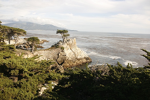 17 Mile Drive - The Lone Cypress 17 Mile Drive - The Lone Cypress