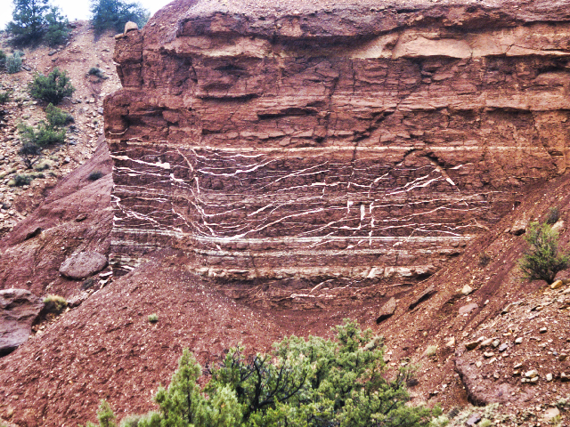 Capitol Gorge Capitol Gorge
