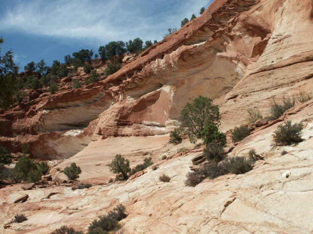 Angel Canyon