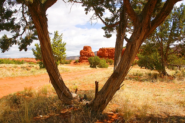 Die ersten roten Steine - in Jemez