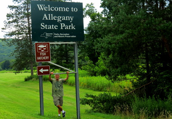 Welcome to Allegany State Park