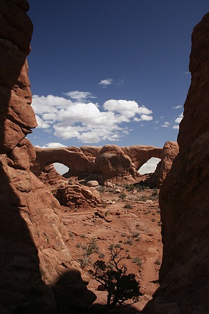 The Spectacles - Arches Park