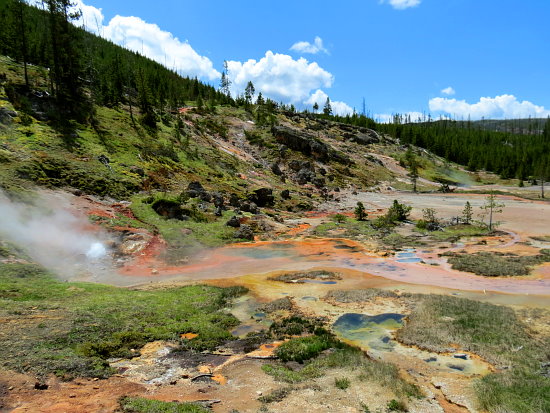 Artists Paintpots