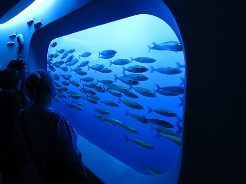 Monterey Bay Aquarium