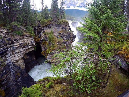 Athabasca Falls