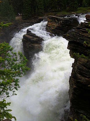 Athabasca Falls