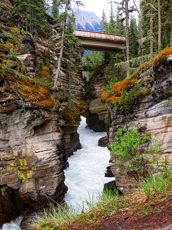 Athabasca Falls