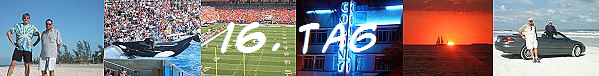 16. Tag