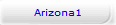 Arizona1