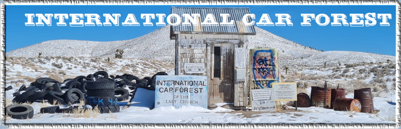 International Car Forest International Car Forest