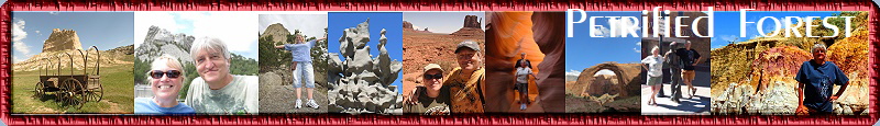 Petrified Forest