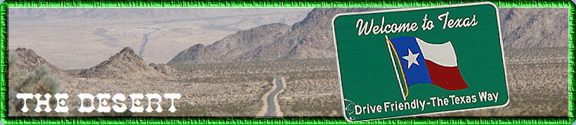 The Desert