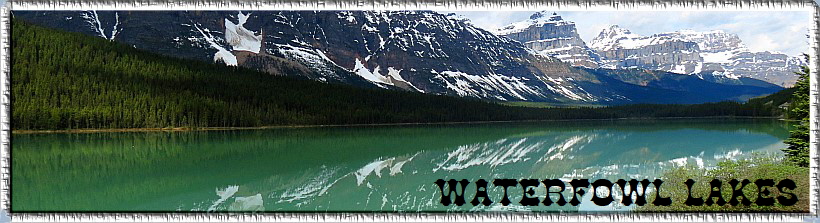 Waterfowl Lakes